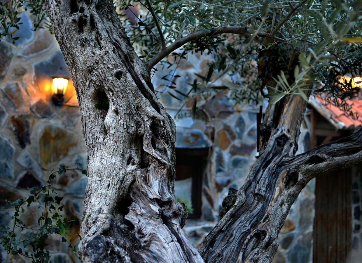 La Casita De Leire Pensionat Tamajon Exteriör bild