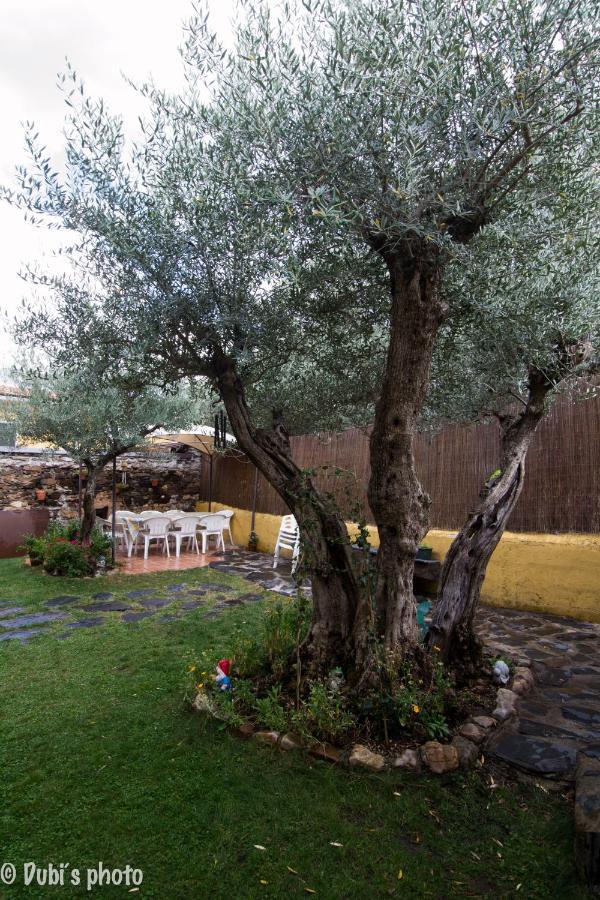 La Casita De Leire Pensionat Tamajon Exteriör bild