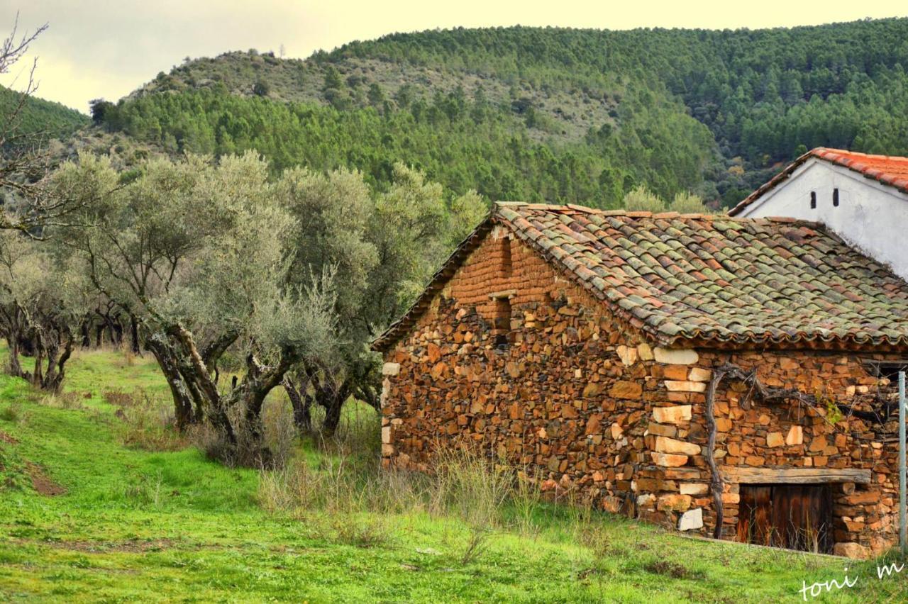 La Casita De Leire Pensionat Tamajon Exteriör bild