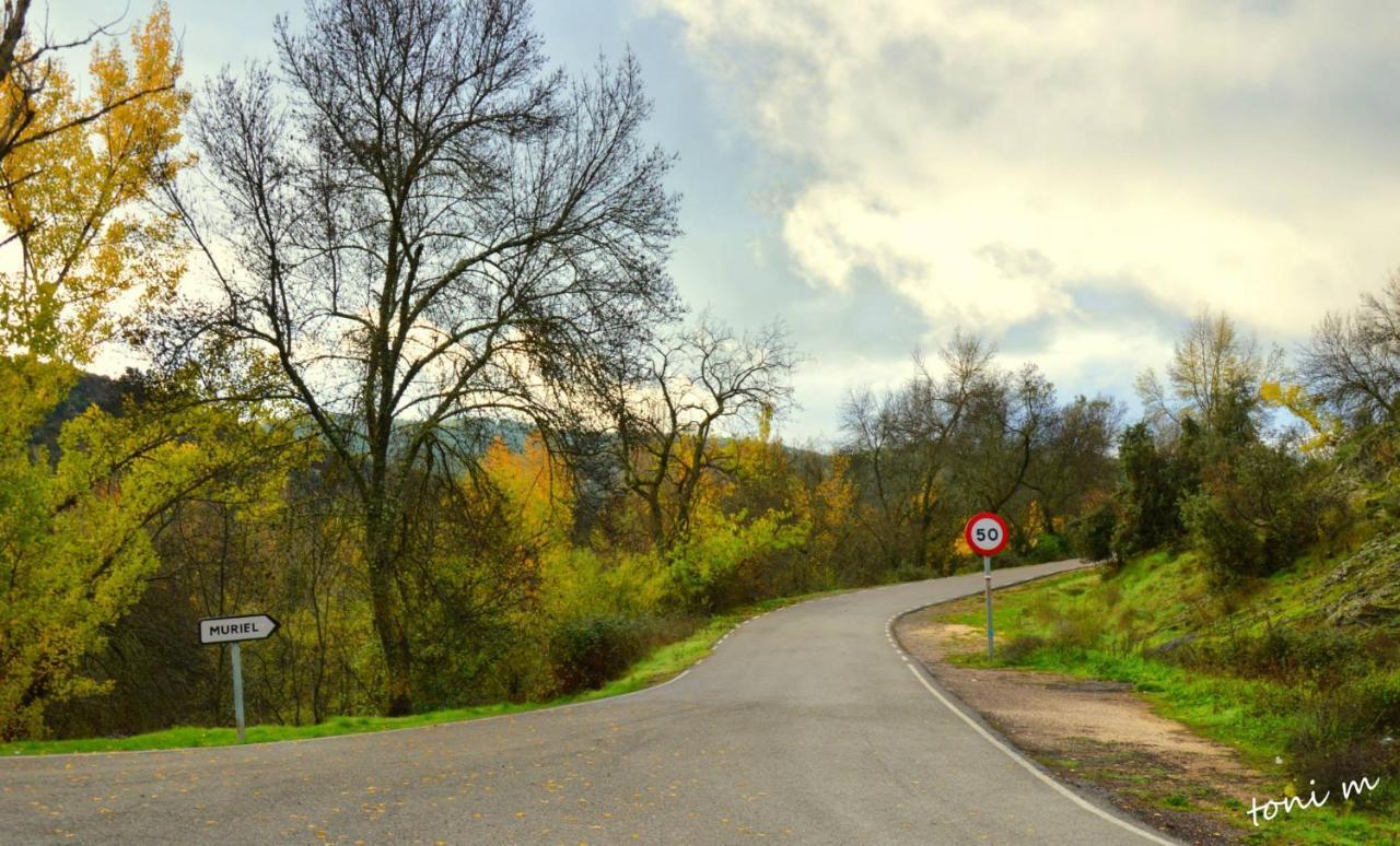 La Casita De Leire Pensionat Tamajon Exteriör bild